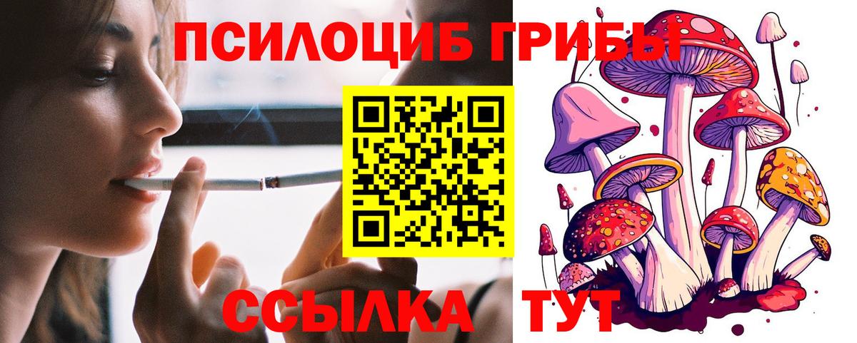 Галлюциногенные грибы Magic Shrooms  Вход с VPN  Красноярск 