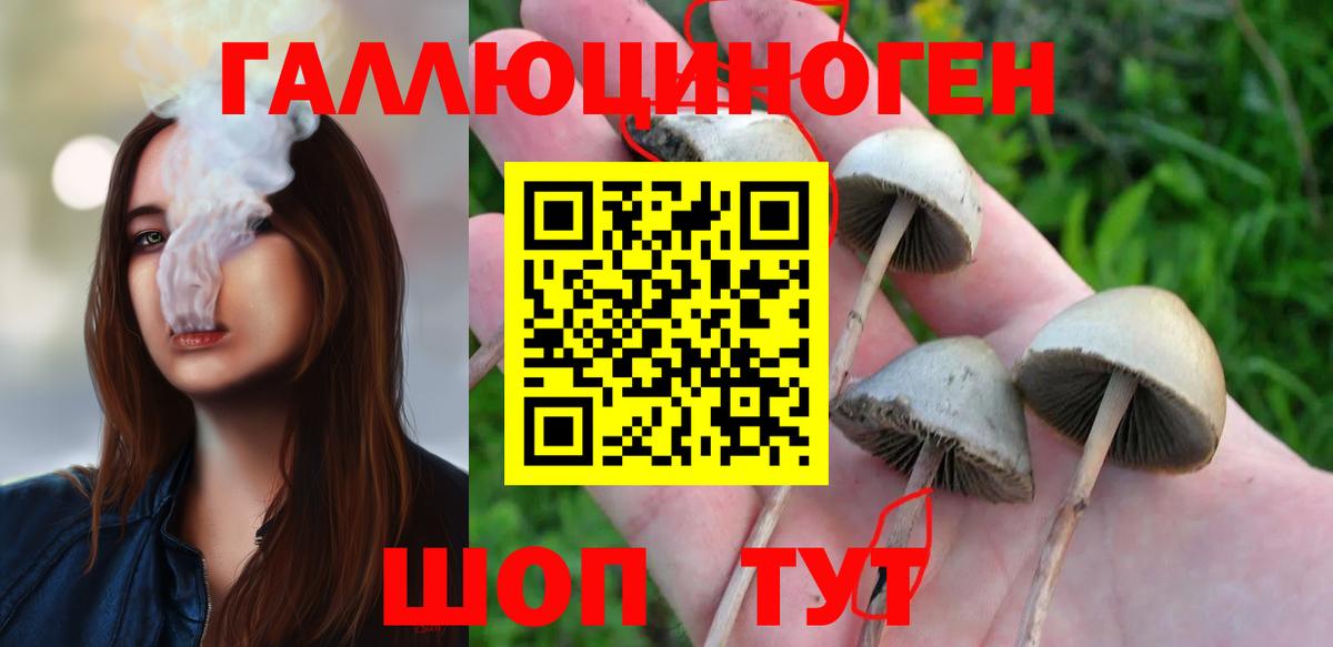 Псилоцибиновые грибы мухоморы Красноярск